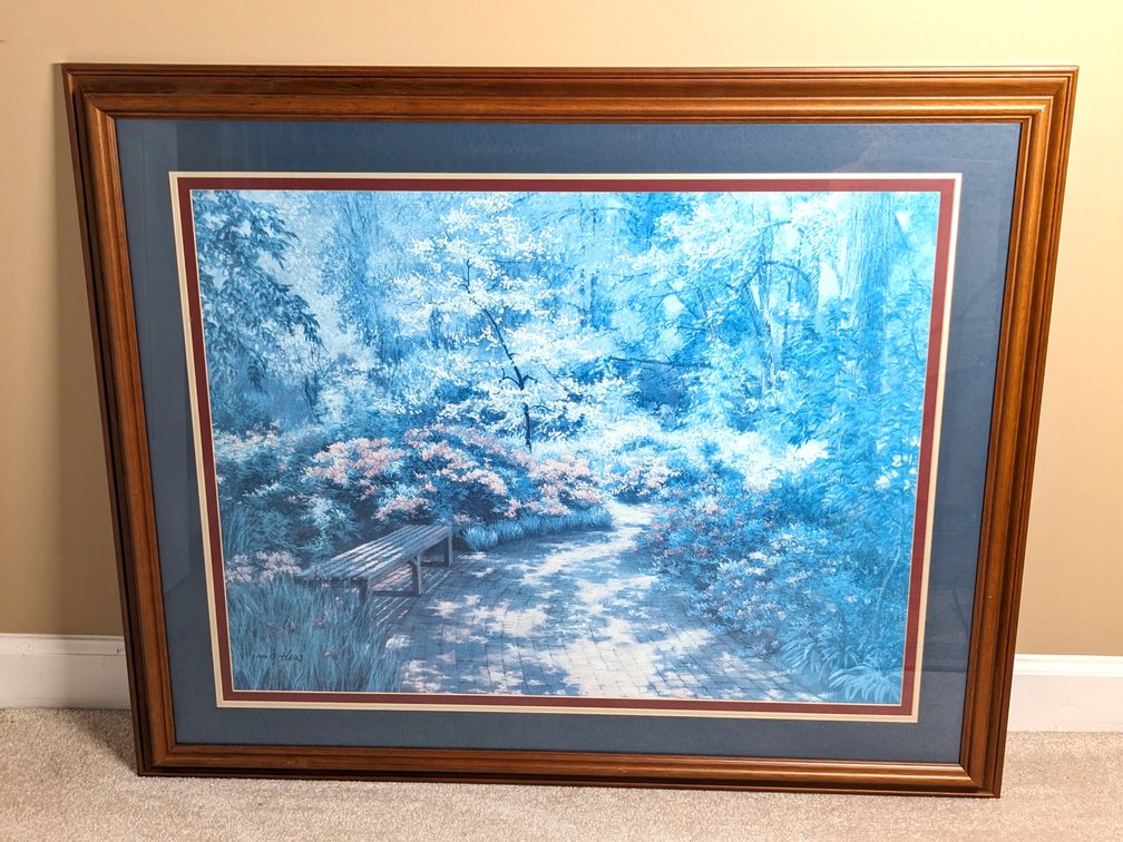 Barbara Hails Framed Print