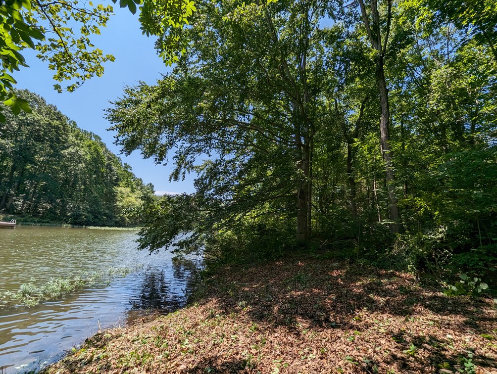 Image for Lake Anna Waterfront Property
