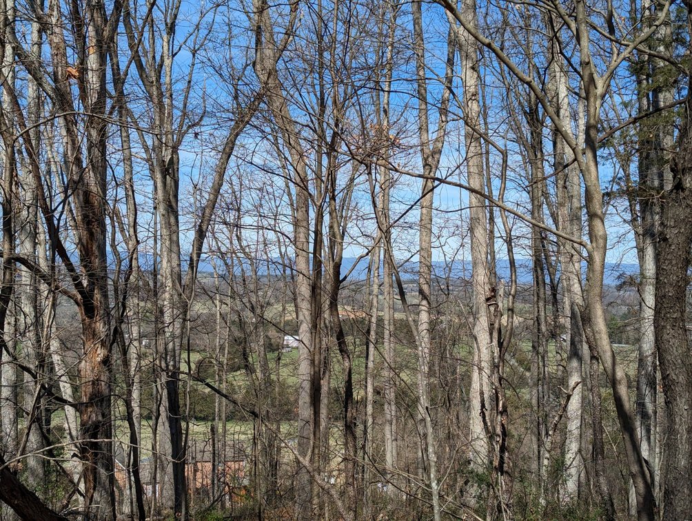 Image for Top Of The Mountain - 55 Acres Zoned SF Residential In Mount Sidney VA