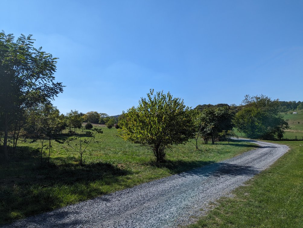 Image for Four Acre Building Lot In Rockingham County