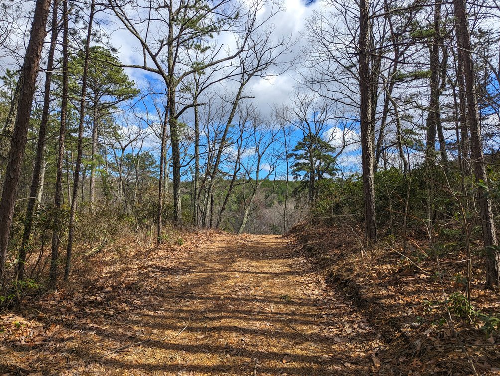 Tract #1:  20.888 +/- Acres