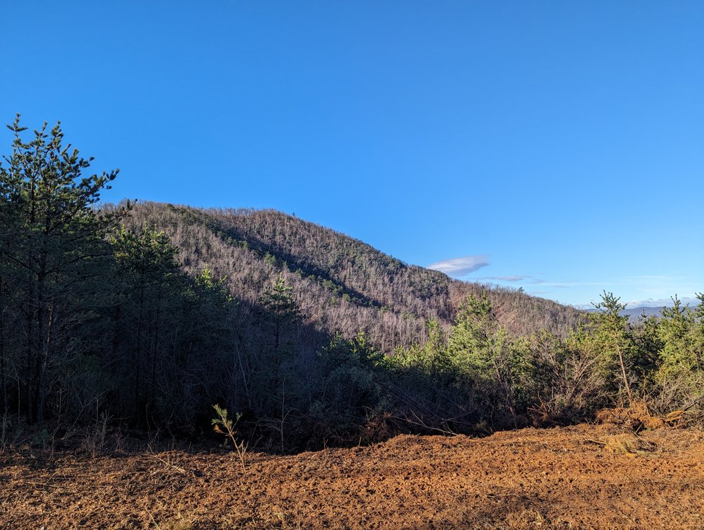 Tract #4: 34.994 +/- Acres