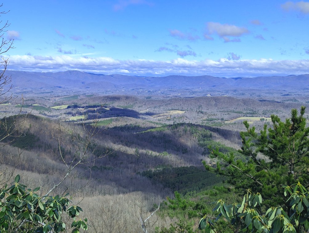 Tract #5: 45.111 +/- Acres