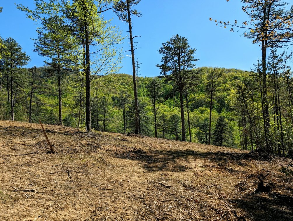 Tract #2: 24.837 +/- Acres