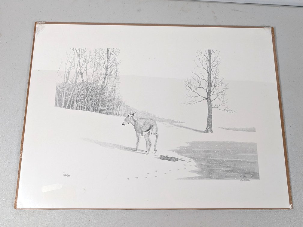 "Doe Hill" By Ken Schuler