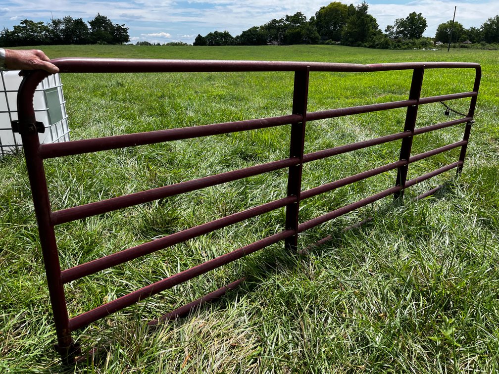 Heavy Duty Bull Gate