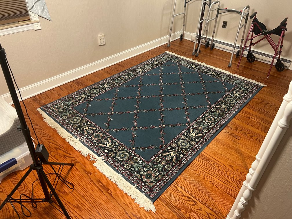 Oriental Weavers Cairo Trellis 6x9 Area Rug USA