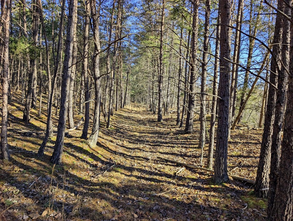 Image for 8.4 +/- Acres Near Winchester VA
