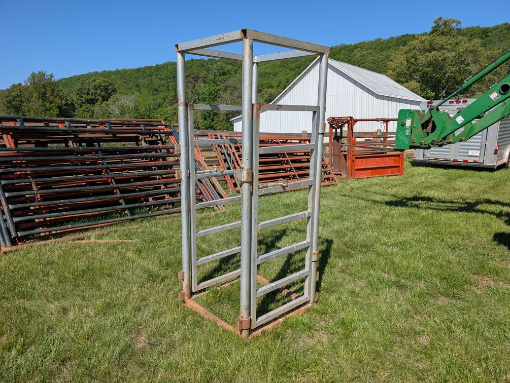 Palpitation Cage