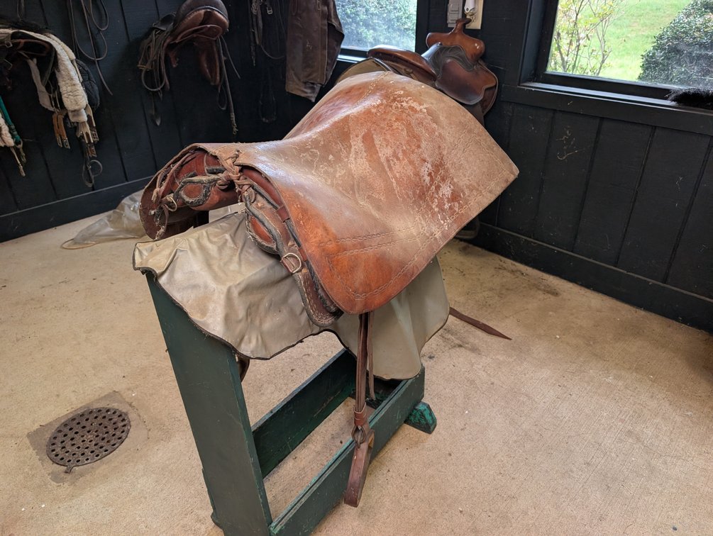 Leather Saddle