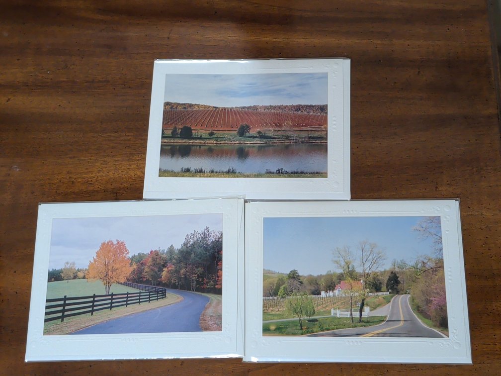 Set of 3 Lillie Orlovsky Photography Cards