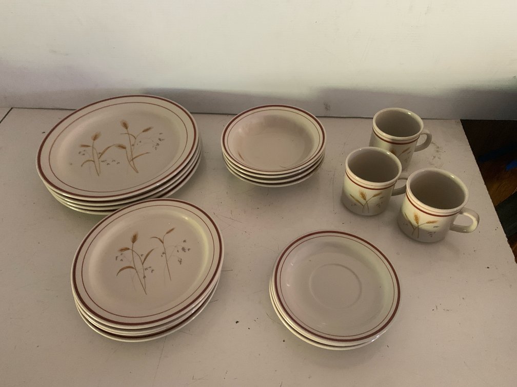 19-Piece Newcor Wheatfield Stoneware Dinnerware Set