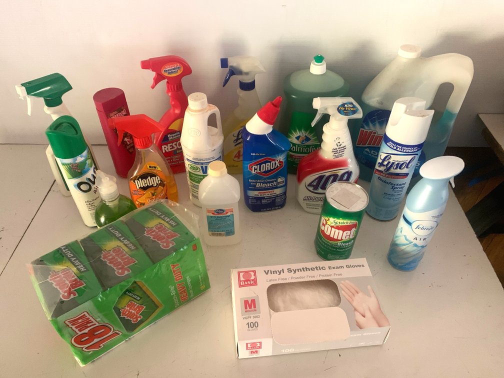 Household Cleaning Supplies, Scrub Sponges, and Vinyl Exam Gloves