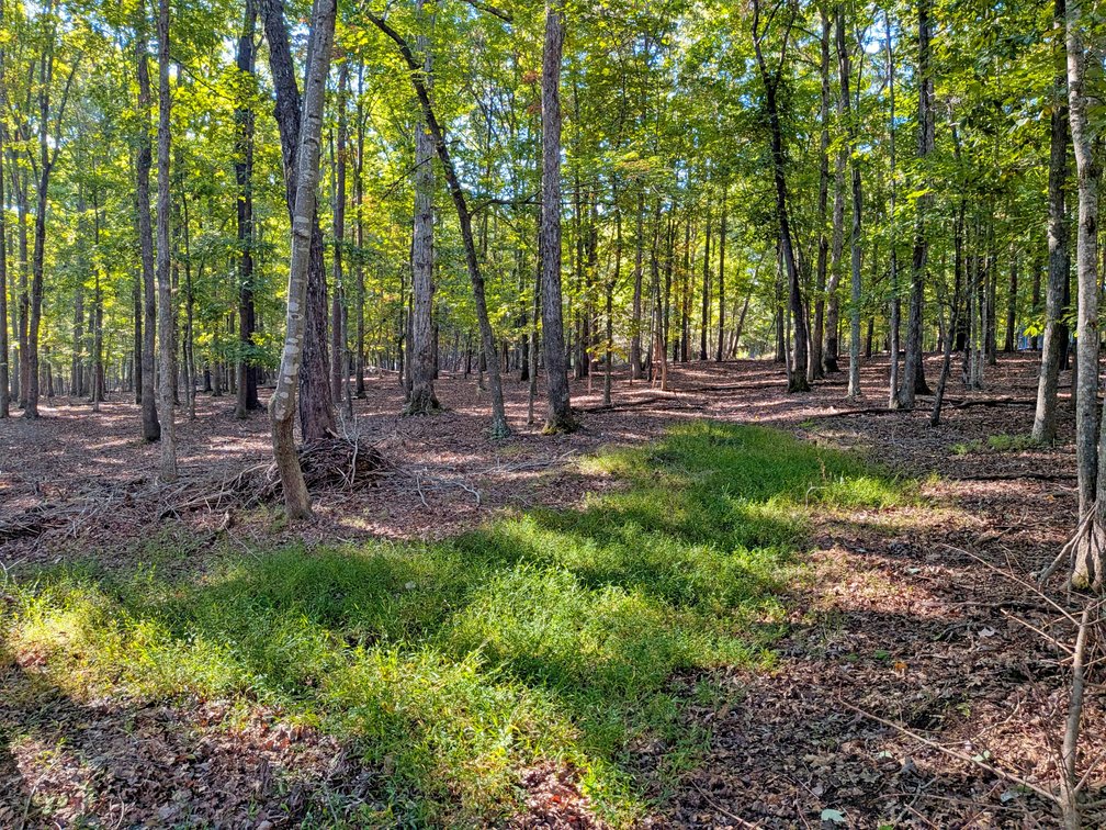 Image for Beautiful One Owner Home On 3 Acres in Fluvanna County VA