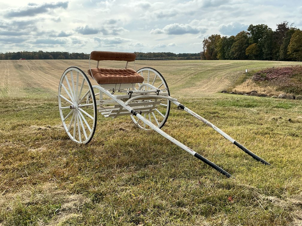 David L. Williams Horse-Drawn Road Cart