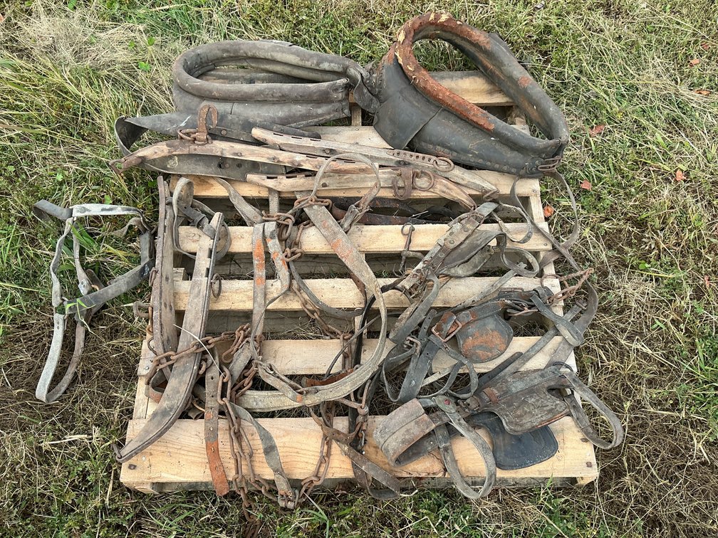 Draft Horse Collars, Wooden Hames, and Harness Tack