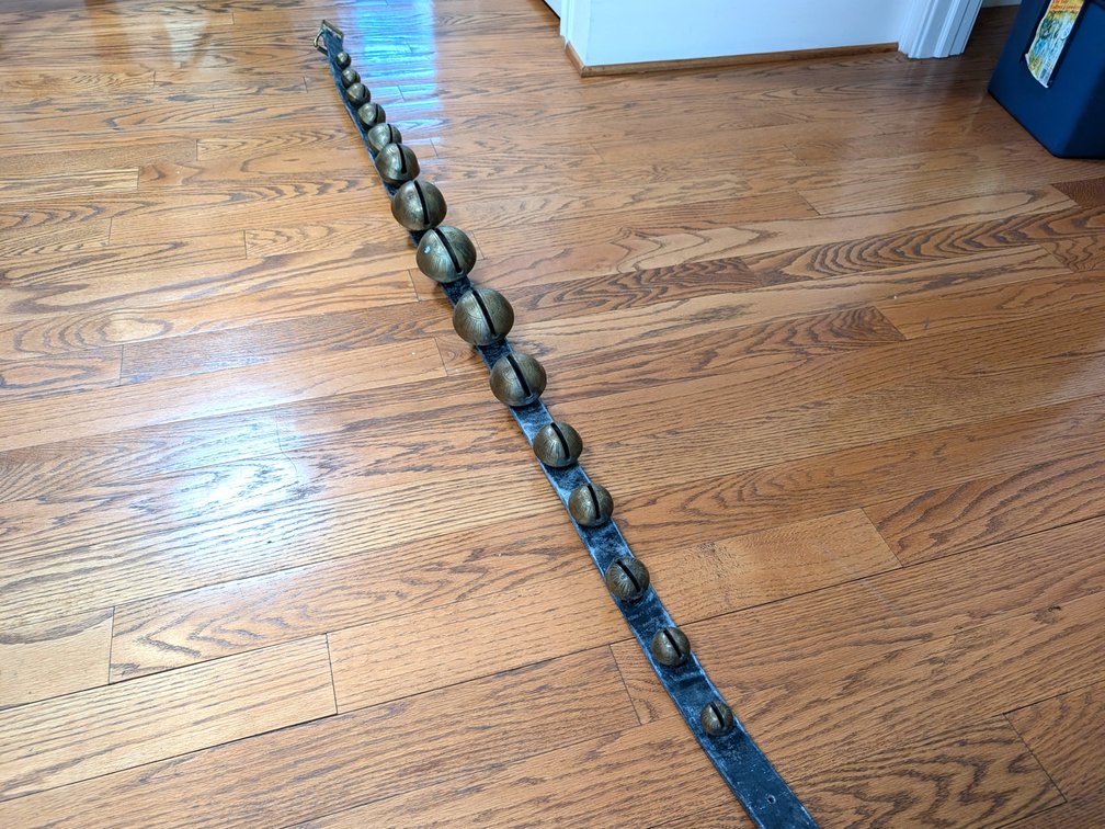 Sleigh Bells Belt