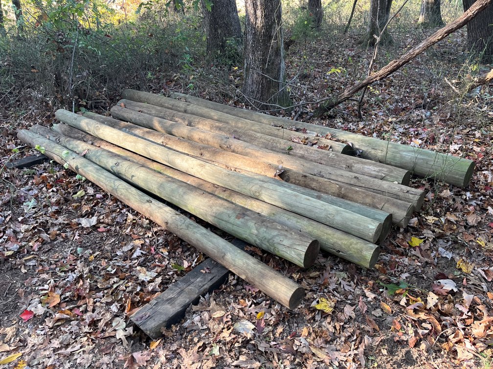 (10) 10’ Treated Posts
