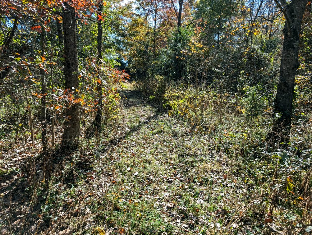 Image for 54.35 +/- Acres Of Land Near Bealeton VA