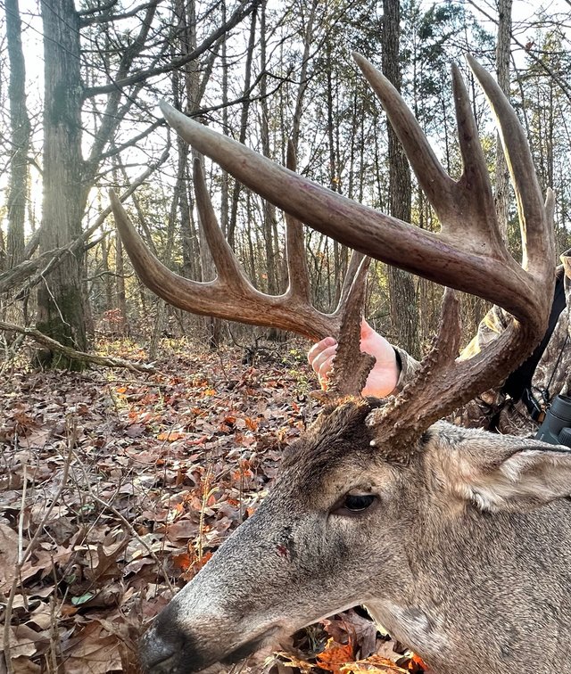 3 Day Southern Ohio Whitetail Hunt!