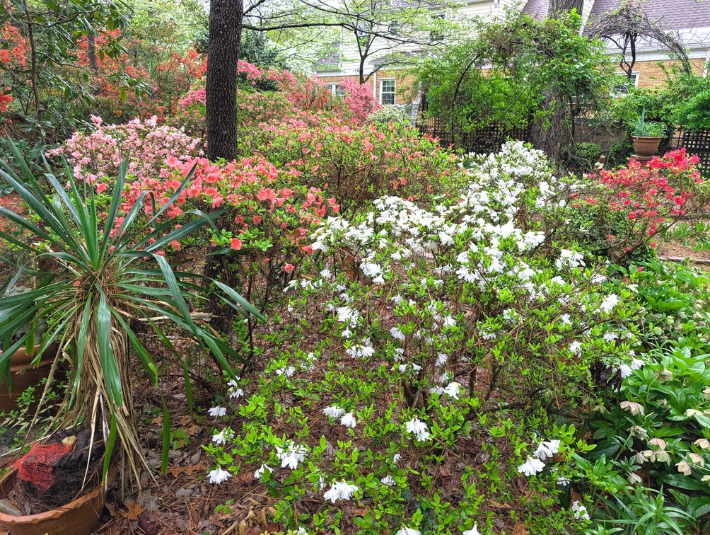 Image for 4 Bedroom Home in Warwick on the James - Newport News VA