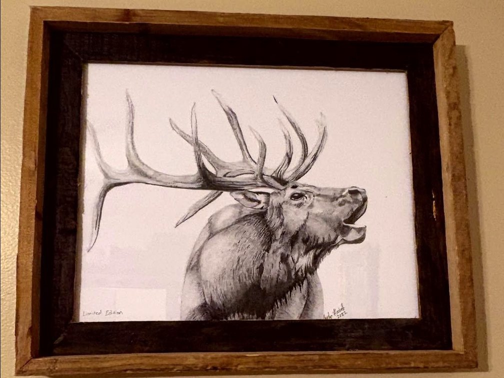 Pencil Drawing Print Of Elk By Carolyn Heatwole