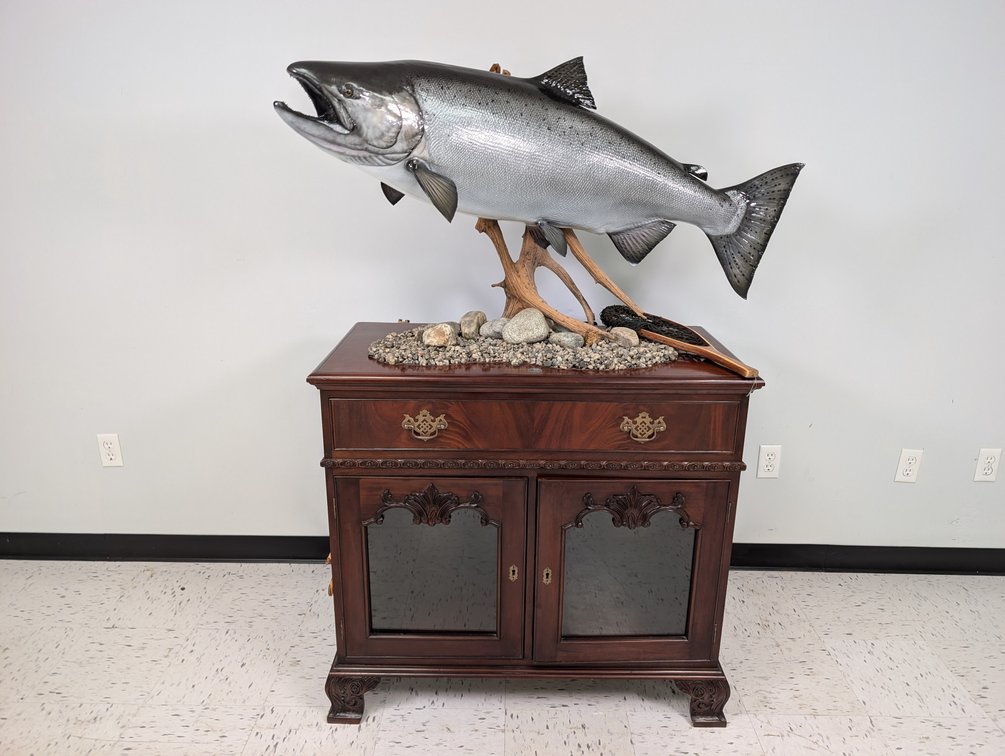 King Salmon Replica On Fishing Cabinet