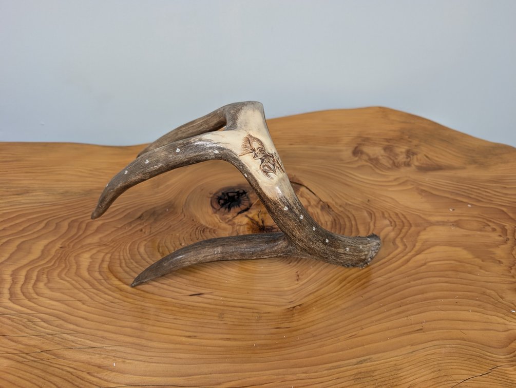 Antler Art