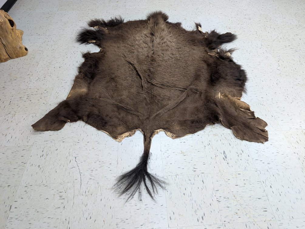 Bison Rug