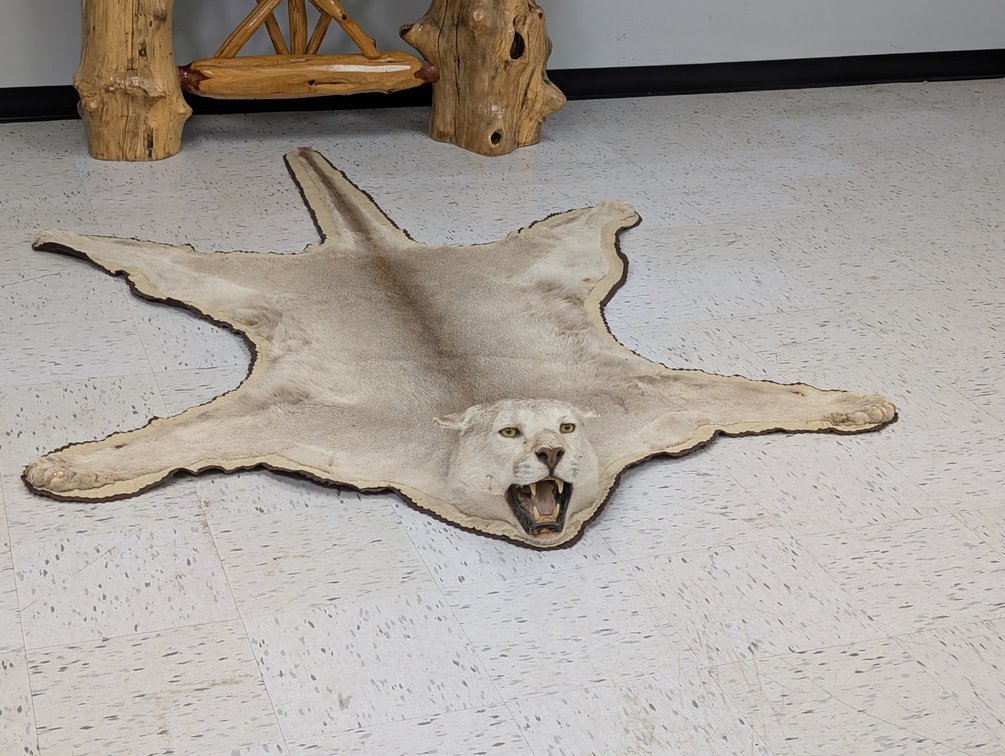 Mountain Lion Rug