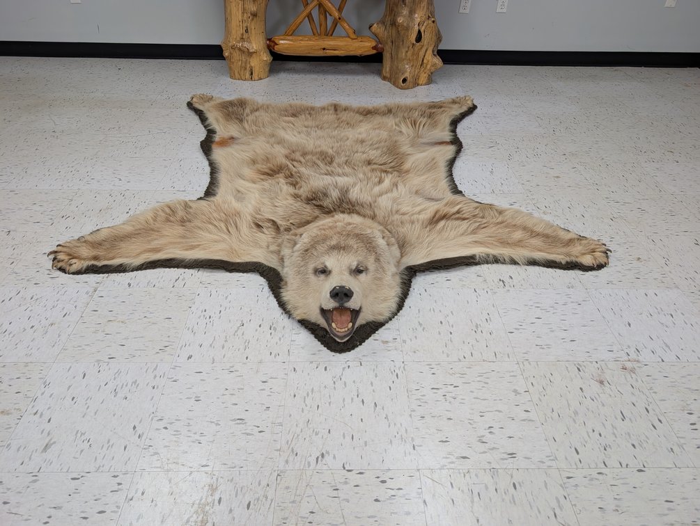 Grizzly Bear Rug