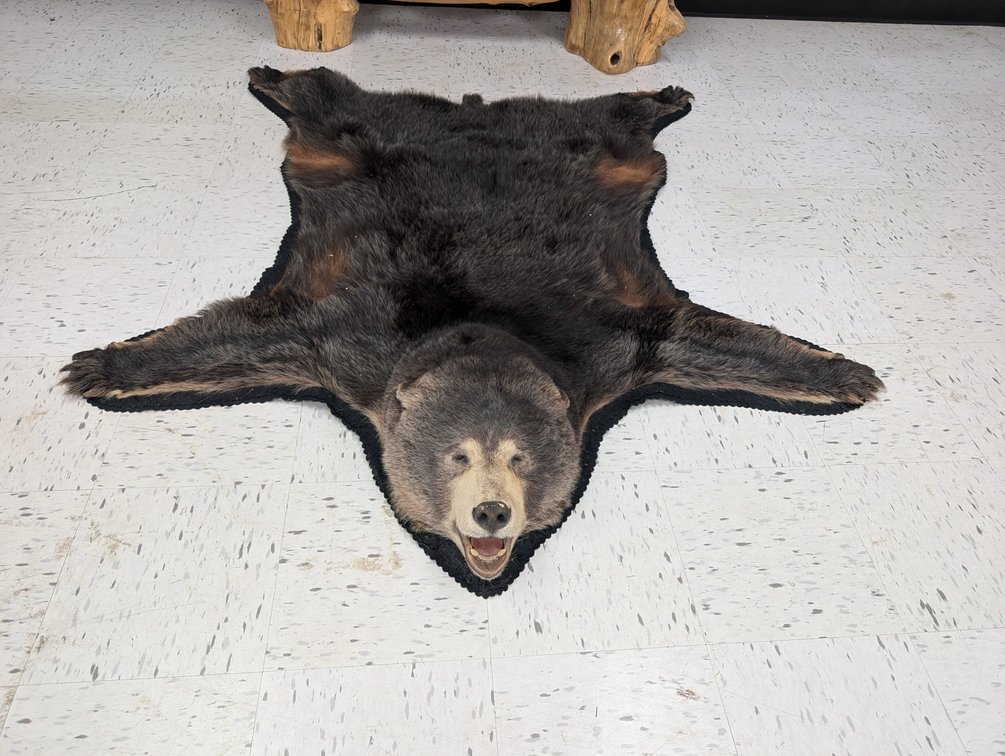 Black Bear Rug