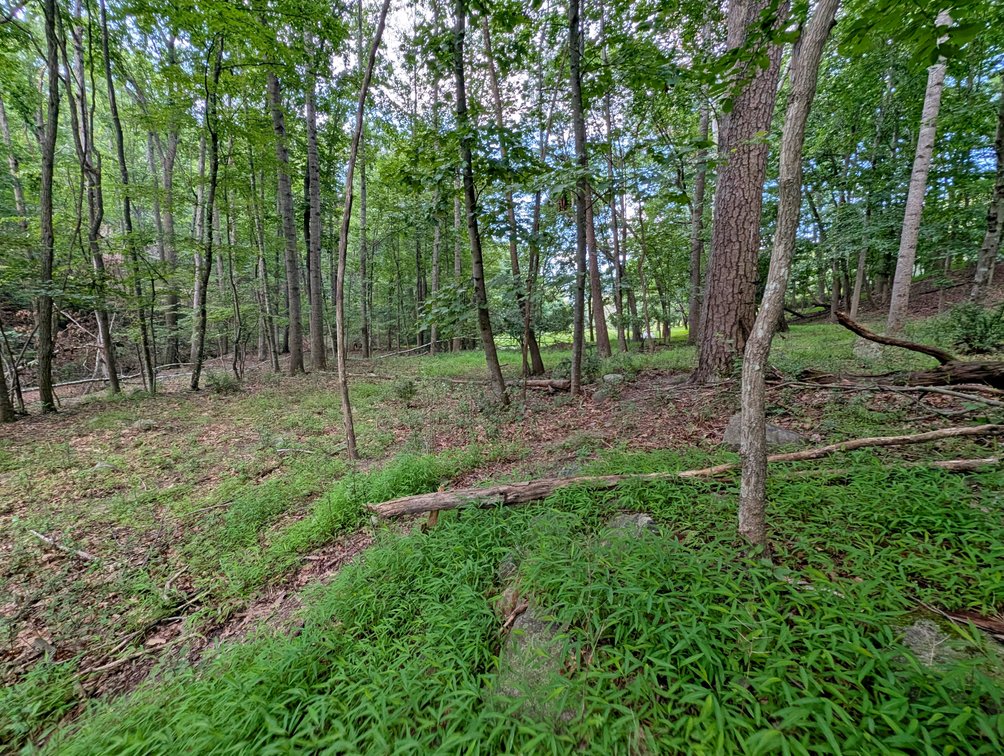 Image for Two Building Lots At Massanutten