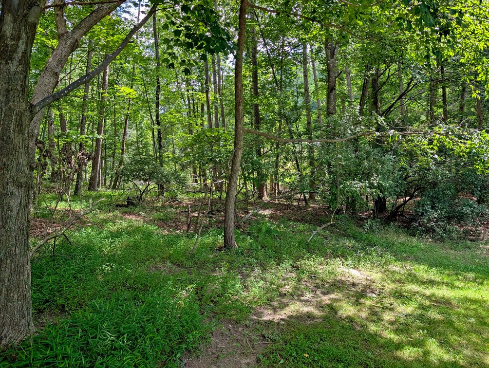 Image for Two Building Lots At Massanutten
