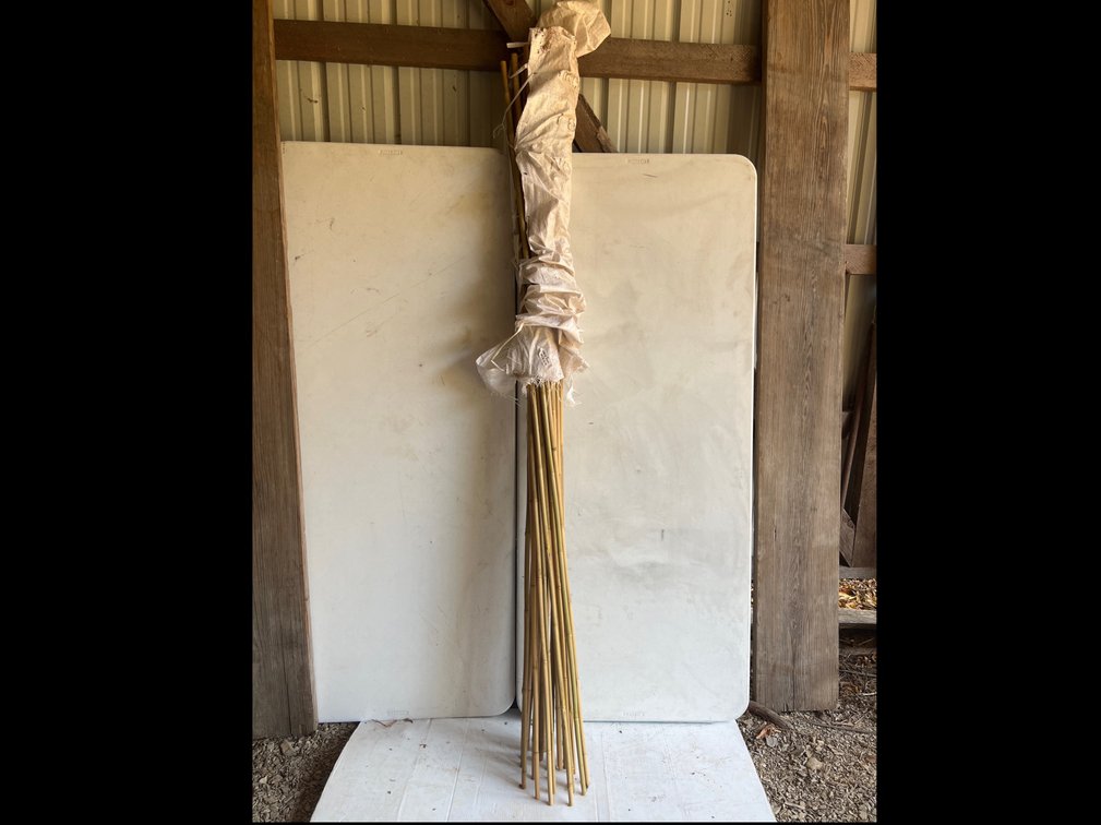 26 Bamboo Poles 6’-7’ long
