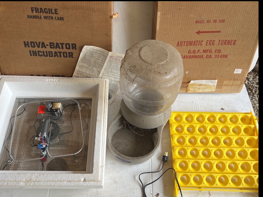 Egg Hatching Equipment