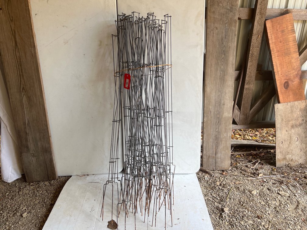 30 metal Tomato Stakes