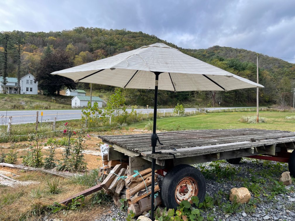 Two Outdoor Umbrellas