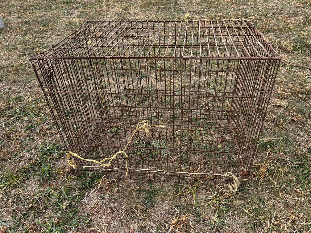 Pet Crate