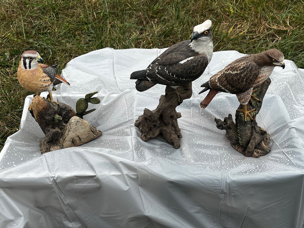 Three Hawk Decoys
