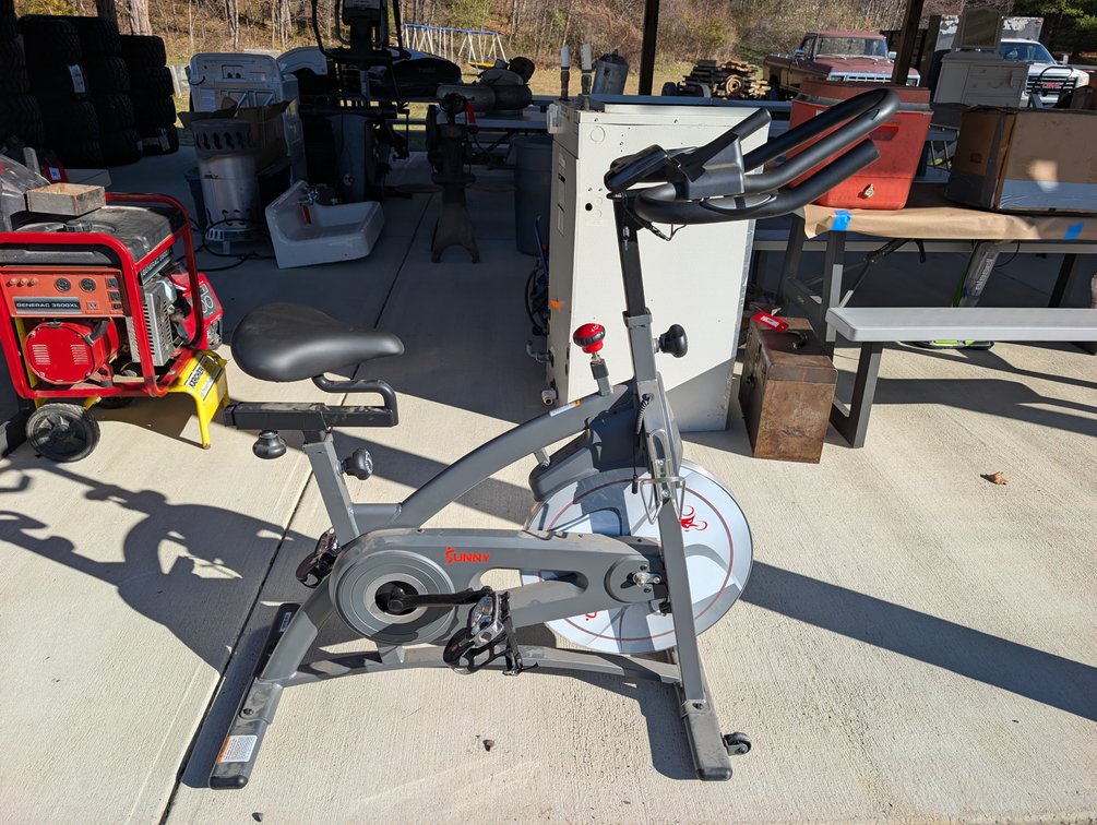 Sunny Exercising Bike