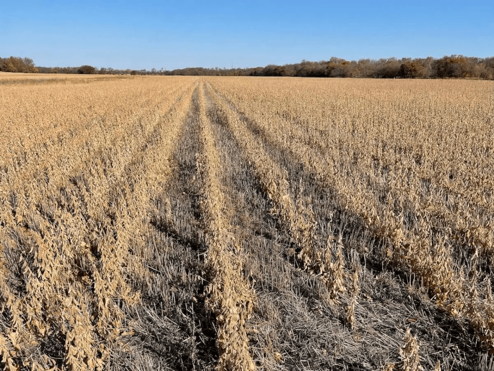 163.2 Acres Harvey County, Kansas Land Near Whitewater photo 5