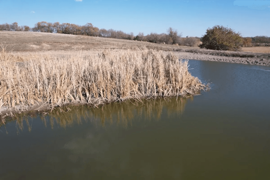 163.2 Acres Harvey County, Kansas Land Near Whitewater photo 7