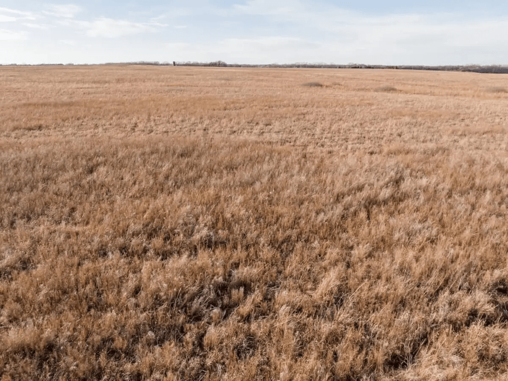 161 Acres Marion County, Kansas Pasture South of Peabody photo 8