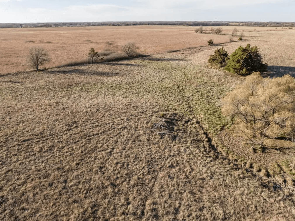 161 Acres Marion County, Kansas Pasture South of Peabody photo 9