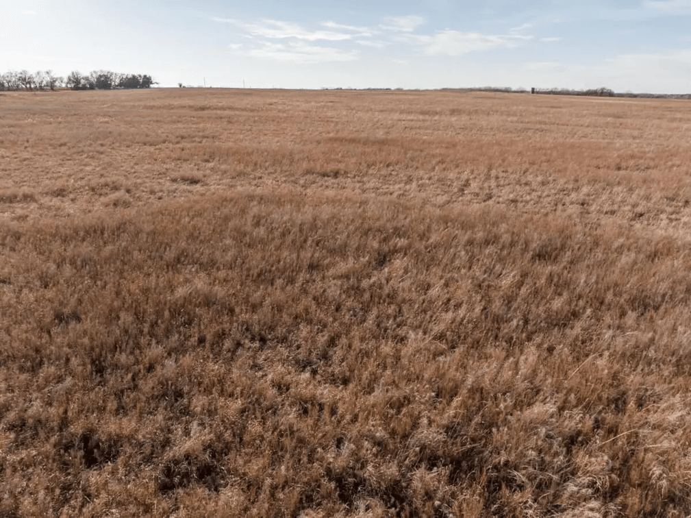 161 Acres Marion County, Kansas Pasture South of Peabody photo 6