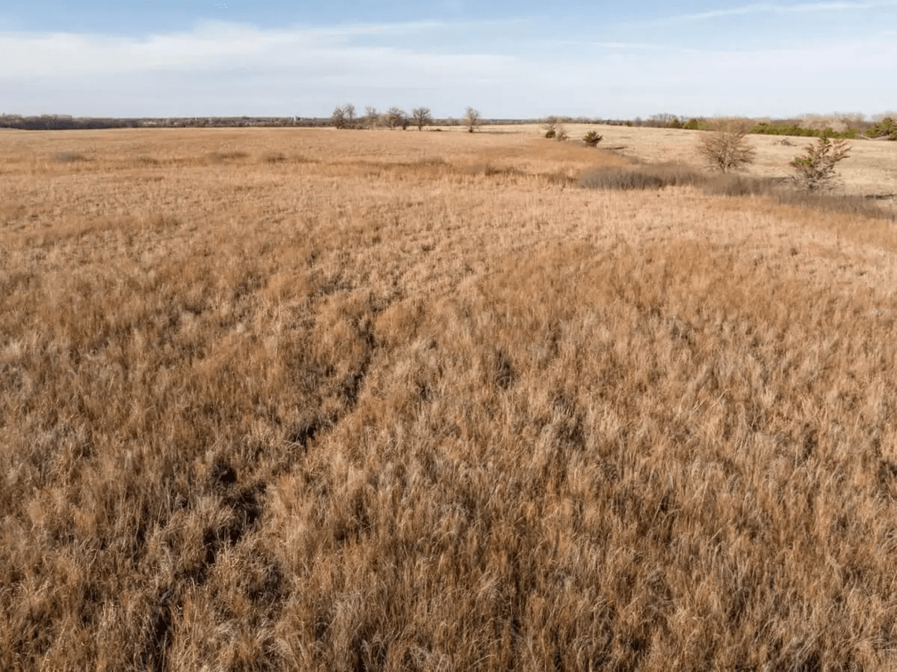161 Acres Marion County, Kansas Pasture South of Peabody photo 7