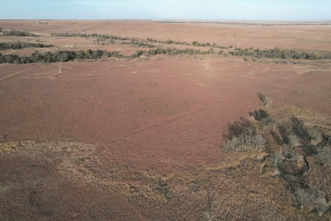 320 Acres Greenwood County, Kansas Flint Hills Land North Of Eureka – Pasture, Creeks, Pond, & Hunting photo 10