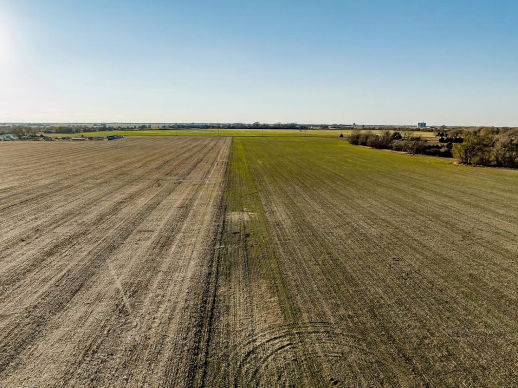 74 Acres Sedgwick County, Kansas Tillable Farm Ground Near Bentley photo 2