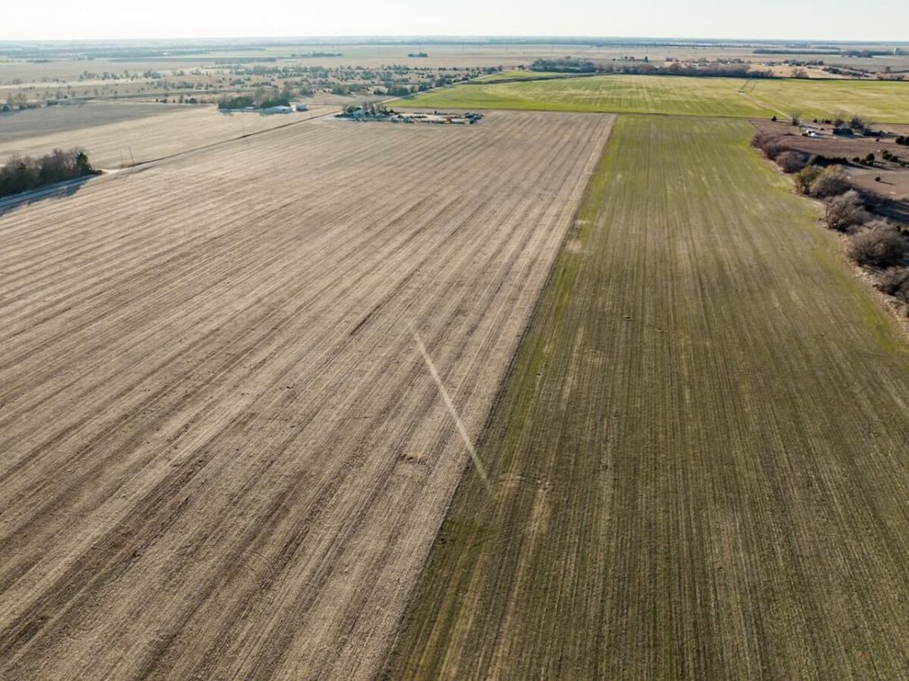 74 Acres Sedgwick County, Kansas Tillable Farm Ground Near Bentley photo 4